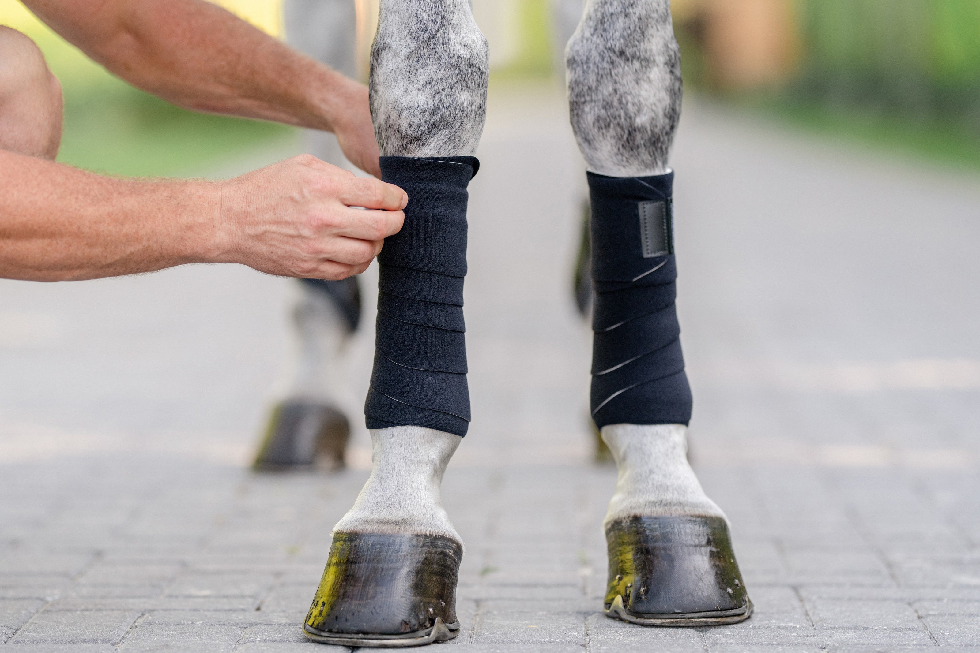 EQUIFIT T-SPORT WRAP | BLACK | 01267 |