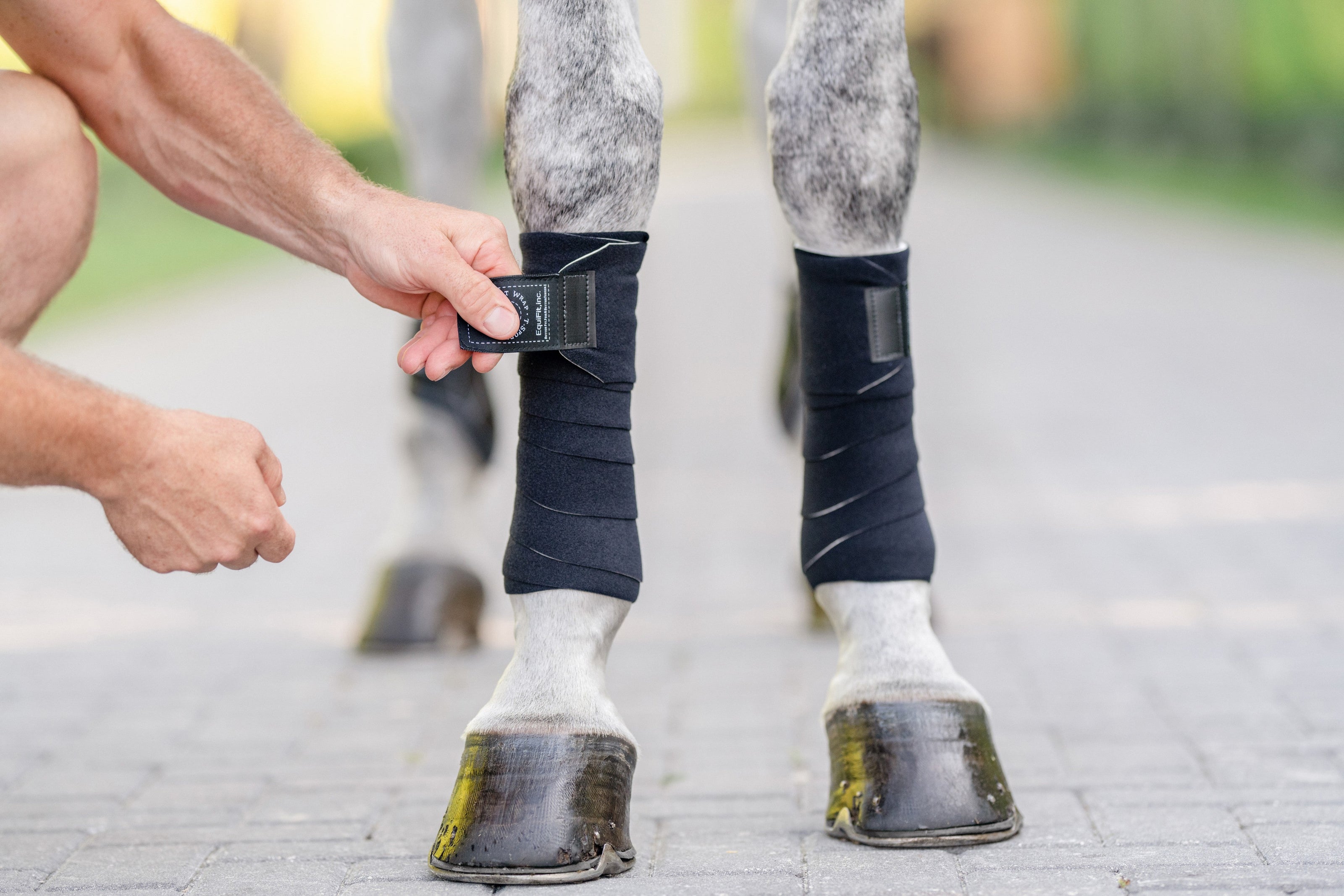 EQUIFIT T-SPORT WRAP | BLACK | 01267 |