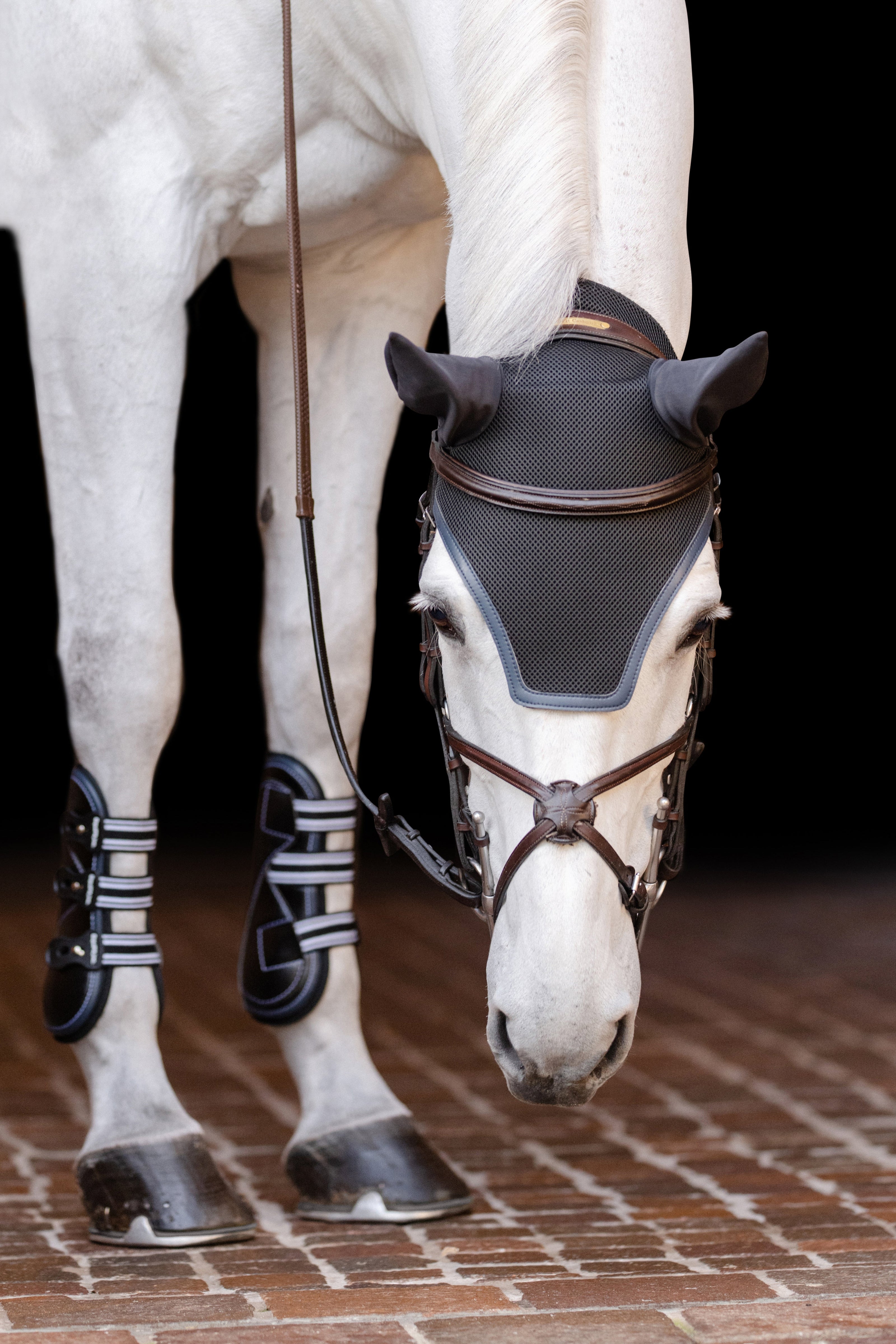 02015 | EQUIFIT EAR BONNET WITH COLOR TRIM AND NO EF LOGO