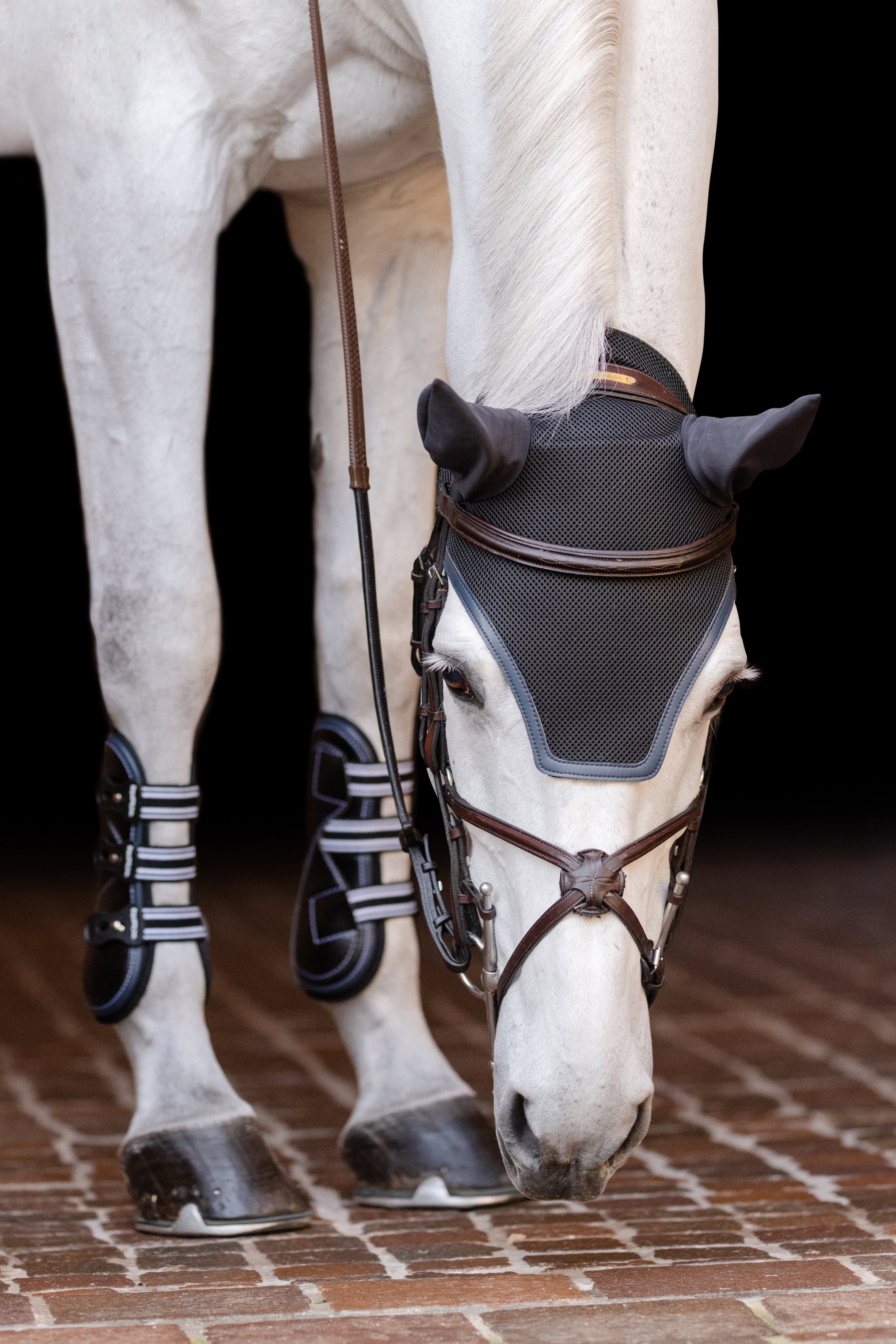 02015 | EQUIFIT EAR BONNET WITH COLOR TRIM AND NO EF LOGO