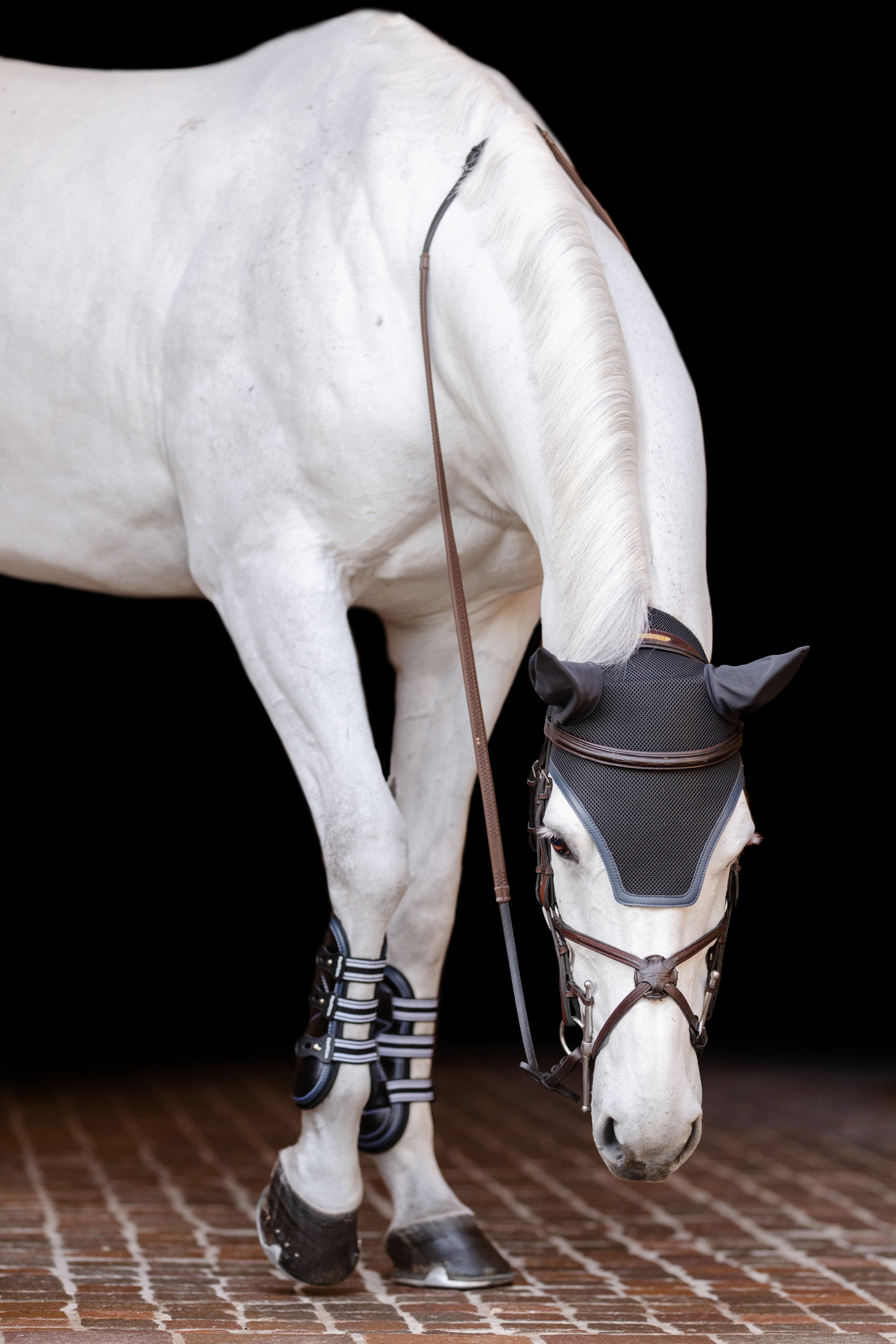 02015 | EQUIFIT EAR BONNET WITH COLOR TRIM AND NO EF LOGO