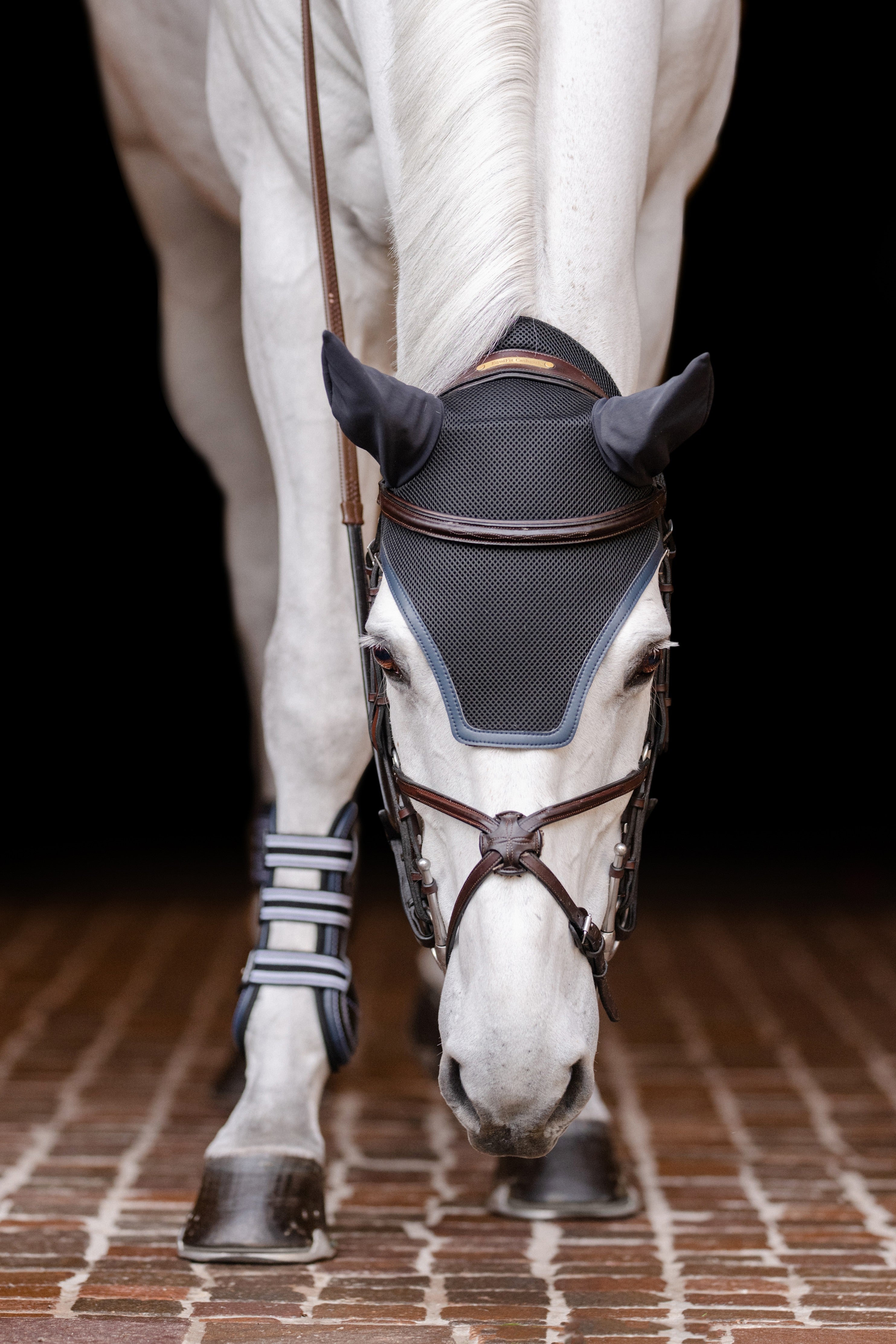 02015 | EQUIFIT EAR BONNET WITH COLOR TRIM AND NO EF LOGO