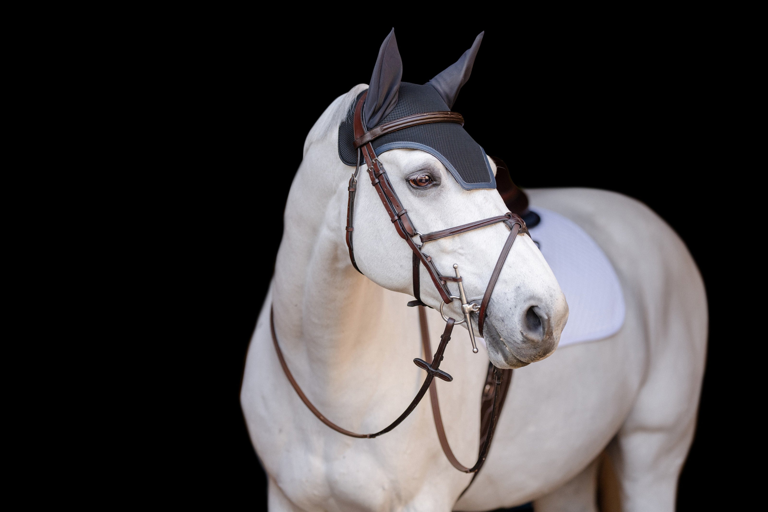 02015 | EQUIFIT EAR BONNET WITH COLOR TRIM AND NO EF LOGO