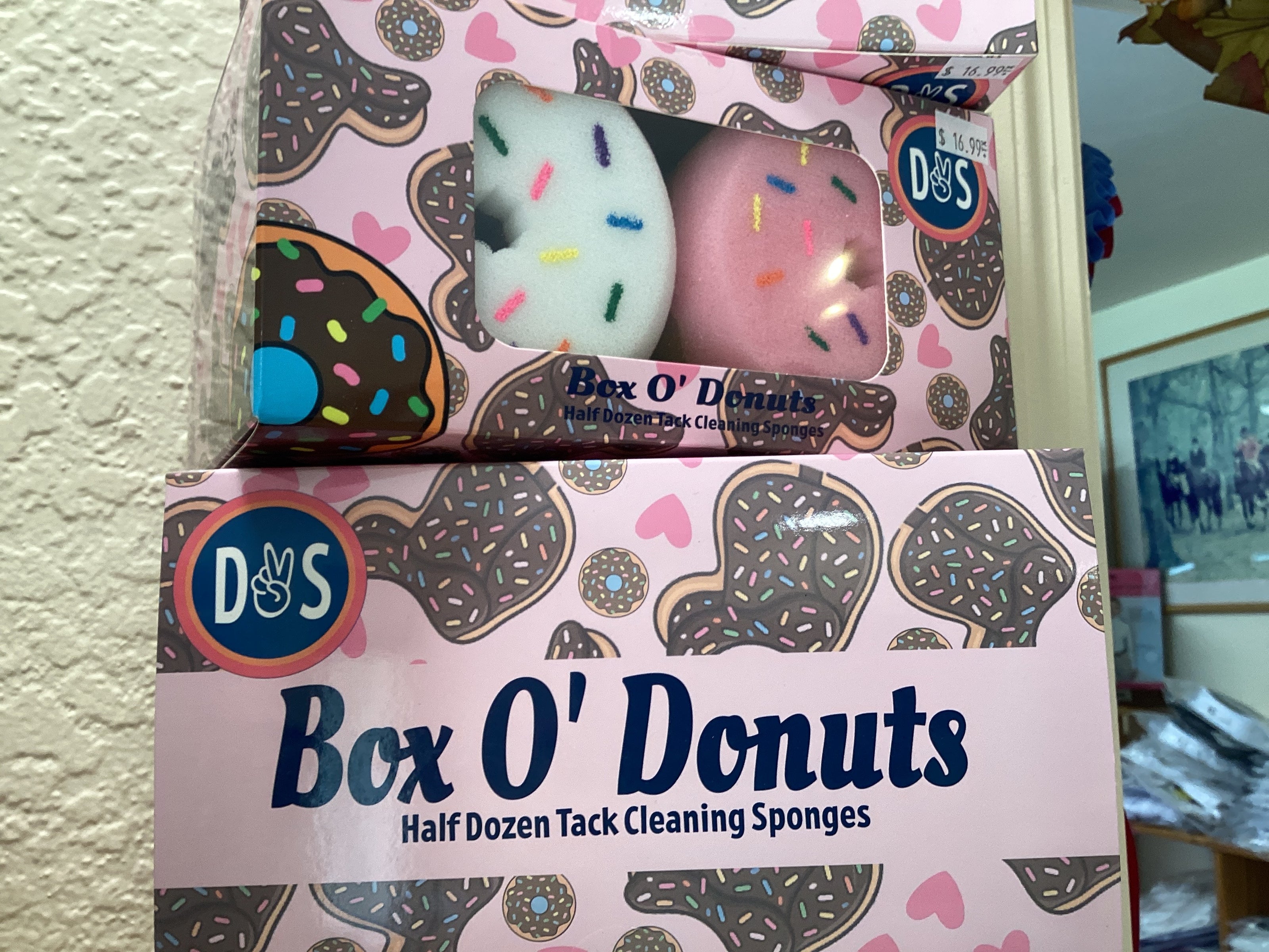 Sponge | Box O' Donuts | D&S