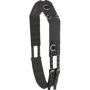 Camelot Web 10-Ring Surcingle | 468768 | Black | Horse Size |