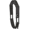 Camelot Web 10-Ring Surcingle | 468768 | Black | Horse Size |