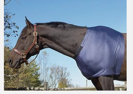 Shoulder Guard | 464858 |