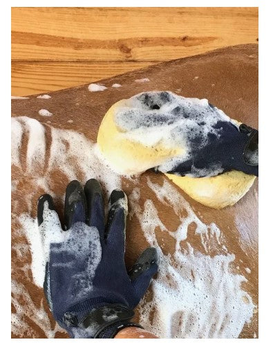 Plughz Wet/Dry Grooming Glove | Navy |