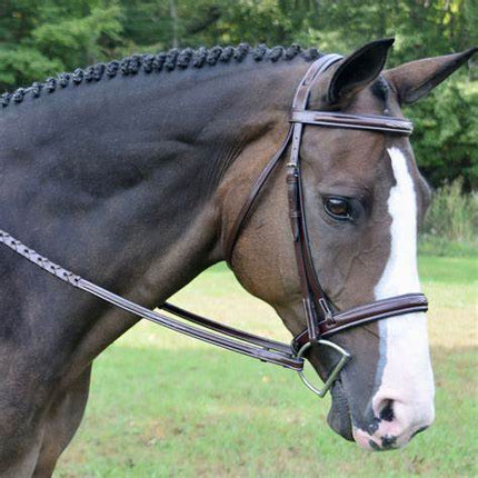 Red Barn | 51080 | Spirit Bridle Round Raised w/Fancy Stitching and Threaded Padded Headstall