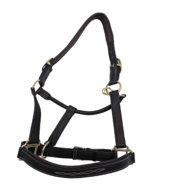 RHC | RS1518 | Padded Halter in American Leather w/Fancy Stitch & Brass Hardware