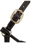 RHC | RS1518 | Padded Halter in American Leather w/Fancy Stitch & Brass Hardware