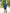 Coats Kids Harmony Jr | HJ2029 | Sea Slate