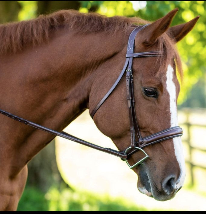 Bridle | 5118 | Ocala | Red Barn | Fancy Stitched tapered noseband
