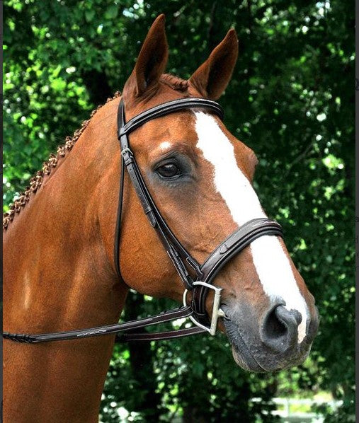 Bridle | 5111 | Red Barn | Tryon Square Raised Fancy Stitched