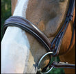 Bridle | 5118 | Ocala | Red Barn | Fancy Stitched tapered noseband