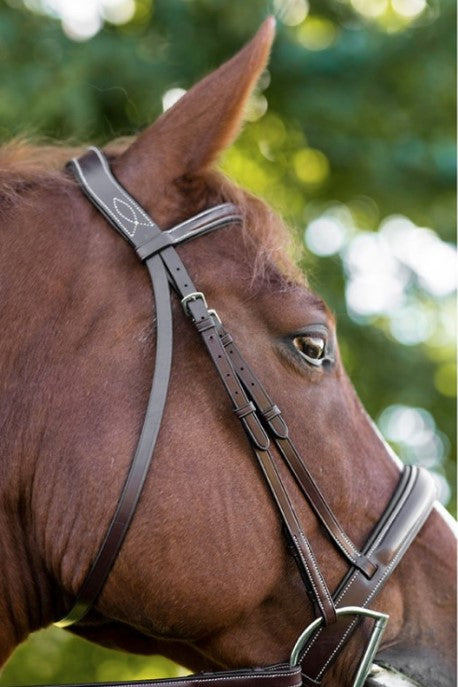 Bridle | 5118 | Ocala | Red Barn | Fancy Stitched tapered noseband
