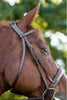 Bridle | 5118 | Ocala | Red Barn | Fancy Stitched tapered noseband