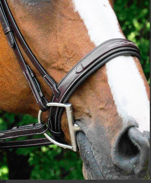 Bridle | 5111 | Red Barn | Tryon Square Raised Fancy Stitched