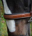 Bridle | 5111 | Red Barn | Tryon Square Raised Fancy Stitched