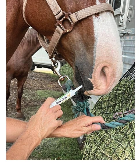 SynNutra SynChill AF