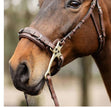 Trust | E18603 | Bridle Sopot Hackamore | Full