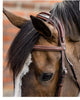 Trust | E18107| Geneva Comb Noseband Bridle