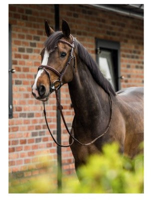 Trust | E18107| Geneva Comb Noseband Bridle