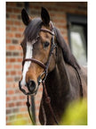 Trust | E18107| Geneva Comb Noseband Bridle