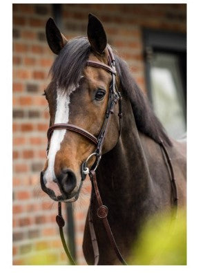 Trust | E18107| Geneva Comb Noseband Bridle