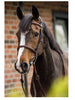 Trust | E18107| Geneva Comb Noseband Bridle