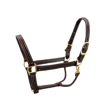 Walsh British Halter | 514 | Havana | Cob