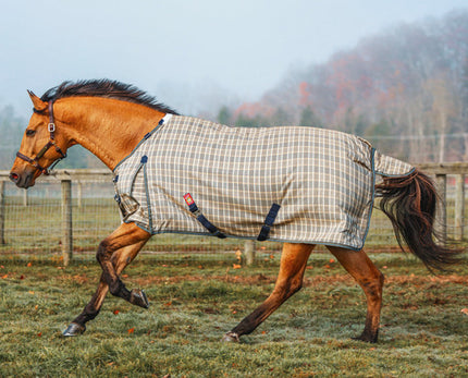 Baker - Turnout Blanket