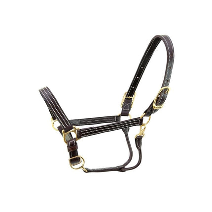 Walsh Kentucky Halter | 974 | Havana | O/S