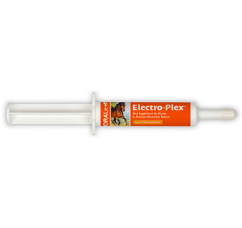 ELECTRO-PLEX PASTE - 34GM SYRINGE - EACH