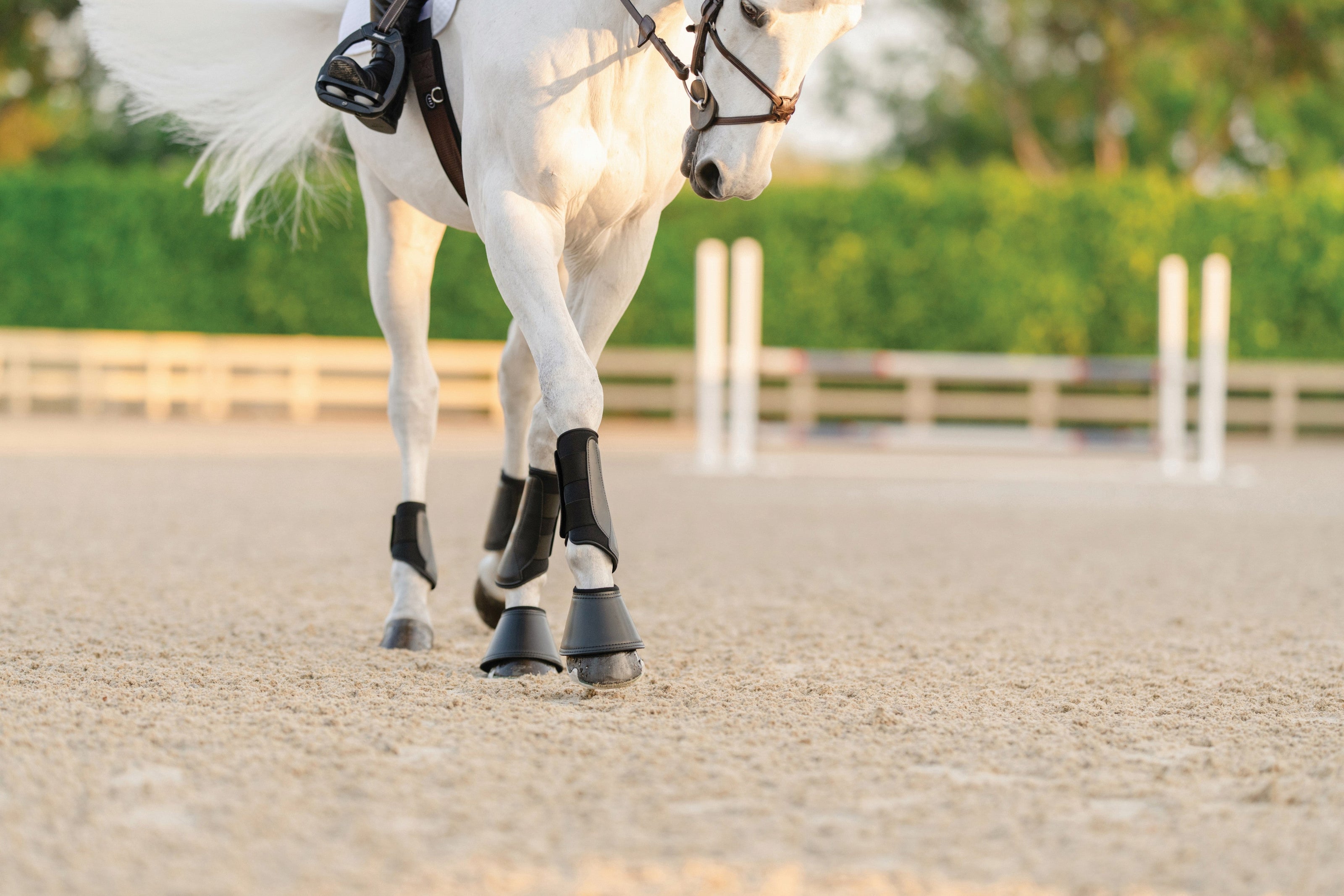 EQUIFIT ESSENTIAL EVERYDAY BOOT FRONT | 11277 | Black |