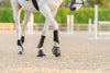 EQUIFIT ESSENTIAL EVERYDAY BOOT HIND | 11278 | Black |