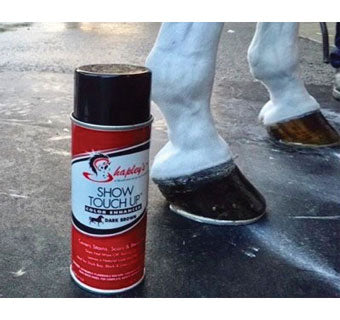 SHAPLEYS SHOW TOUCH UP AEROSOL CAN(Chesnut and Brown)