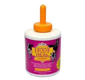 HOOF HEAL 32 OZ