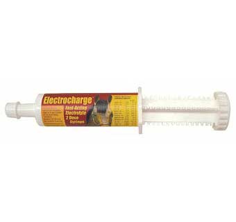 ELECTROCHARGE  PASTE 60 CC 1/PKG