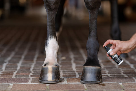 AGSILVER CLEANSPRAY - 4 OZ