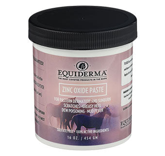 EQUIDERMA ZINC OXIDE PASTE 16 OZ JAR 1/PKG