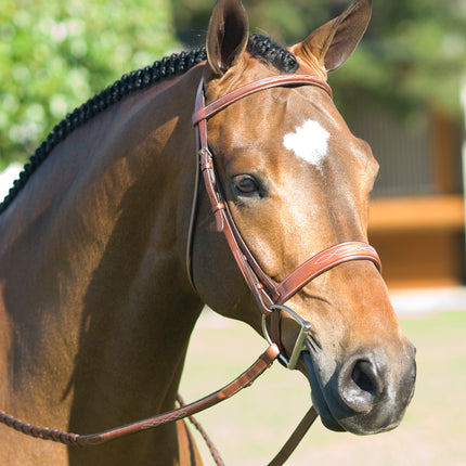 Pessoa Rodrigo - Fancy Stitch Wide Noseband Bridle