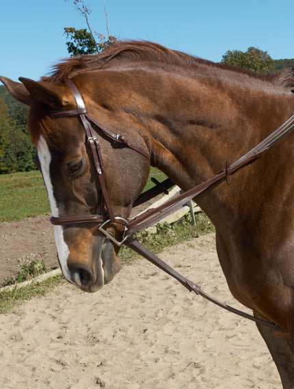 Ovation Stretch Cord Draw Reins