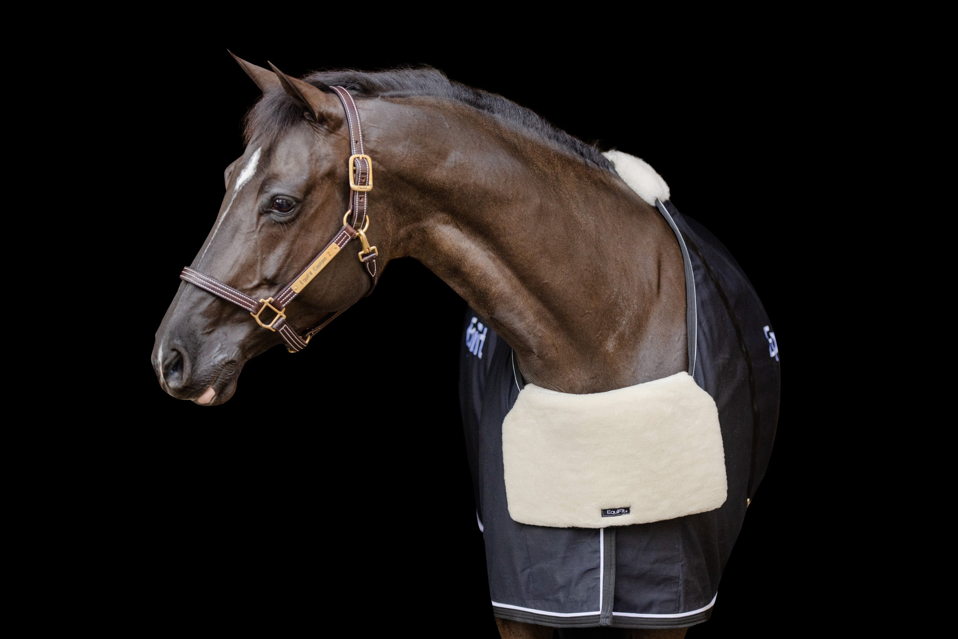 EQUIFIT BLANKET BIB