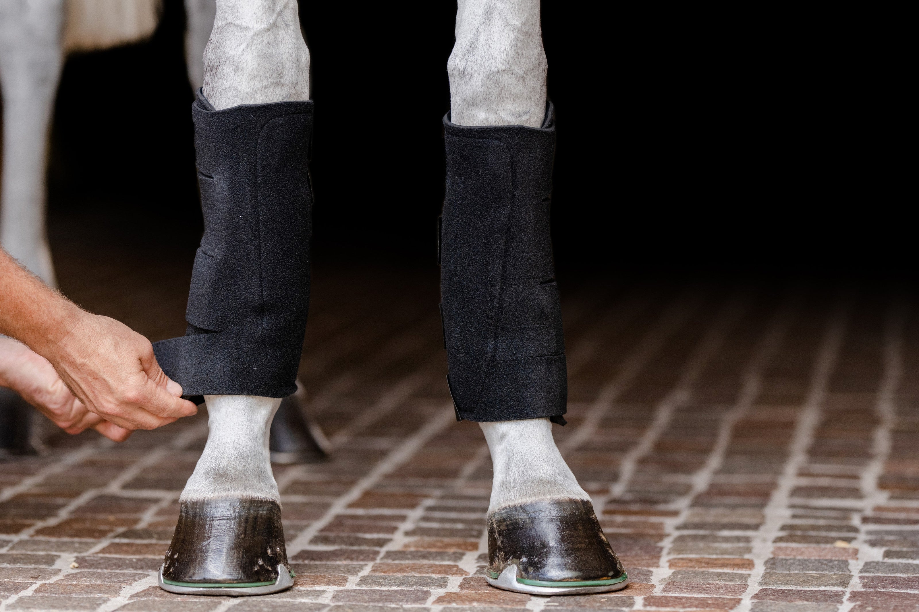 EQUIFIT ESSENTIAL COLD THERAPY TENDON BOOT | 66800 |