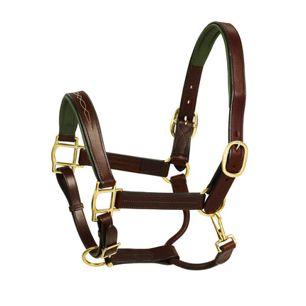 Americana Fancy Stitch Leather Halter with Green Padding